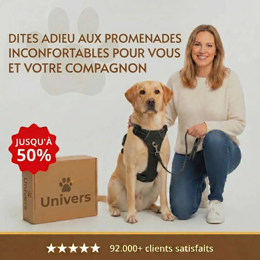 https://cdn.dropmagic.ai/medias/ca76f49d-3a98-463b-9ceb-bc8bf16a5746.webp